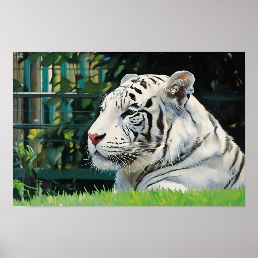 Witte Majesteit - Resting Tiger Wildlife Poster (Voorkant)