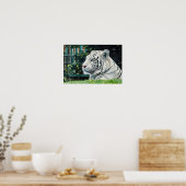Witte Majesteit - Resting Tiger Wildlife Poster (Keuken)