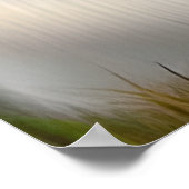 Witte majestueuze leeuw etherische kunst wordt geg poster (Hoek)