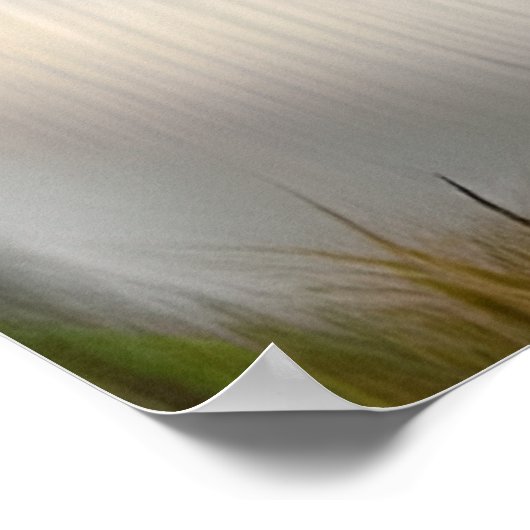 Witte majestueuze leeuw etherische kunst wordt geg poster (Hoek)