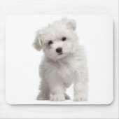 Witte Malteese Muismat van Puppy Dog (Voorkant)