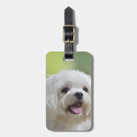 Witte Maltese hond Bagagelabel (Voorkant verticaal)