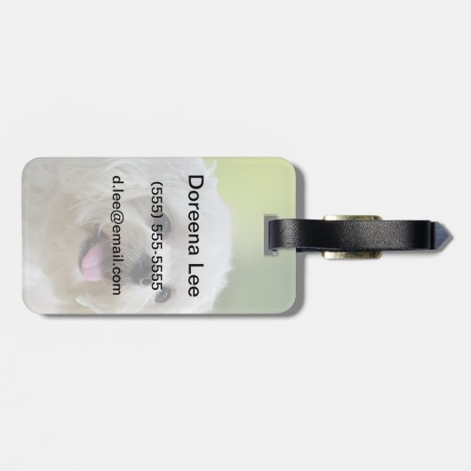 Witte Maltese hond Bagagelabel (Achterkant horizontaal)