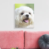 Witte Maltese hond Canvas Afdruk (Insitu (Woonkamer))