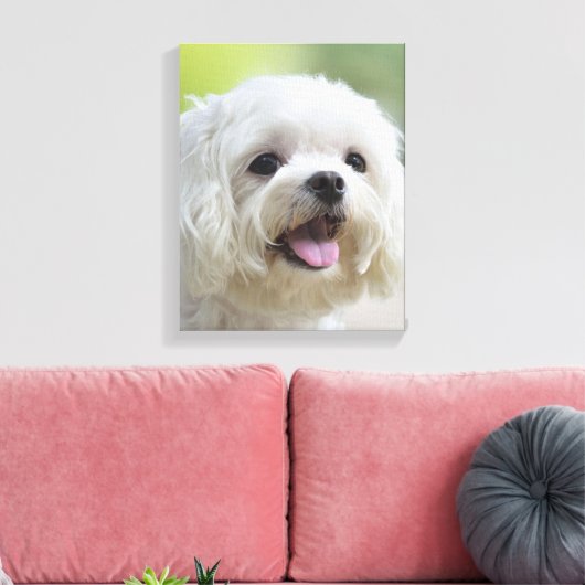 Witte Maltese hond Canvas Afdruk (Insitu (Woonkamer))