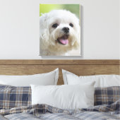 Witte Maltese hond Canvas Afdruk (Insitu (Slaapkamer))