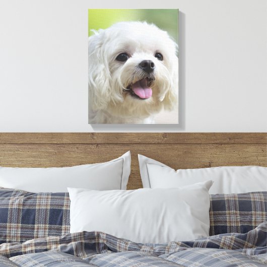 Witte Maltese hond Canvas Afdruk (Insitu (Slaapkamer))
