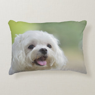 Witte Maltese hond Decoratief Kussen