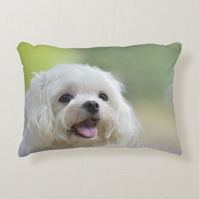 Witte Maltese hond Decoratief Kussen (Voorkant)