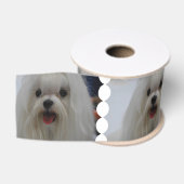 Witte Maltese hond Grosgrain Lint (Spoel)