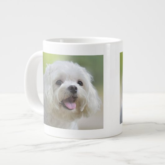 Witte Maltese hond Grote Koffiekop (Links)