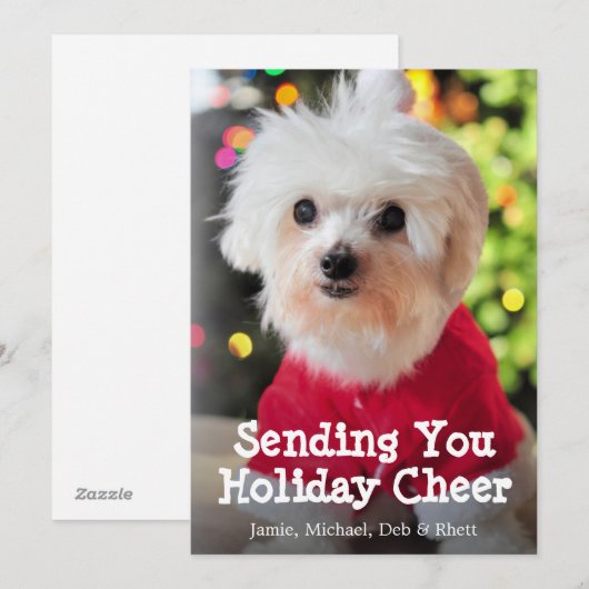 Witte Maltese hond in rood kerstmanpak. Feestdagenkaart (Voorkant / Achterkant)