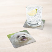 Witte Maltese hond Kartonnen Onderzetters (Insitu)