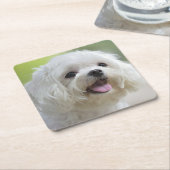 Witte Maltese hond Kartonnen Onderzetters (Schuin)