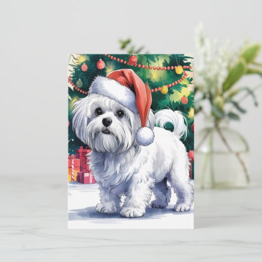Witte Maltese hond met kerstmuts Feestdagenkaart (Staand voorkant)