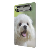 Witte Maltese hond Mini Klembord (Angled2)