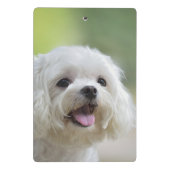 Witte Maltese hond Mini Klembord (Achterkant)