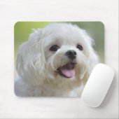 Witte Maltese hond Muismat (Met muis)