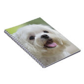 Witte Maltese hond Notitieboek (Rechterzijde)