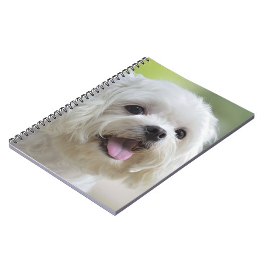 Witte Maltese hond Notitieboek (Linkerzijde)