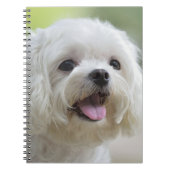 Witte Maltese hond Notitieboek (Voorkant)