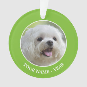 Witte Maltese hond Ornament