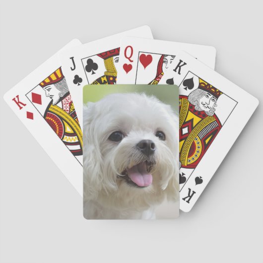 Witte Maltese hond Pokerkaarten (Achterkant)