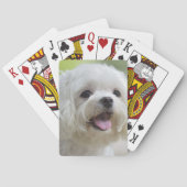 Witte Maltese hond Pokerkaarten (Achterkant)