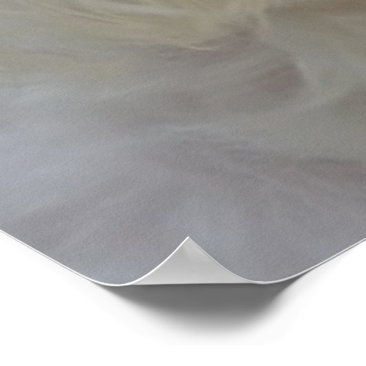 Witte Maltese hond Poster (Hoek)