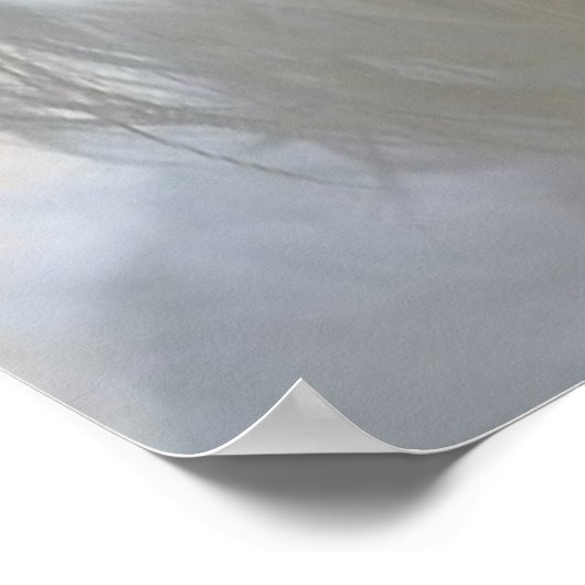 Witte Maltese hond Poster (Hoek)