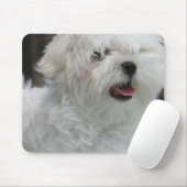 Witte Maltese Muismat voor papaverbedekking (Met muis)