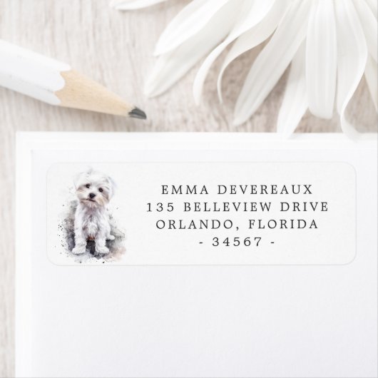 Witte Maltese pup retour adres label (Insitu)
