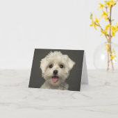 Witte Maltese Puppy Dog Blank Note Kaart (Gele Bloem)