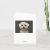 Witte Maltese Puppy Dog Blank Note Kaart (Achterkant)