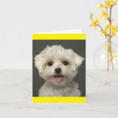 Witte Maltese Puppy Dog Blank Note Kaart (Gele Bloem)