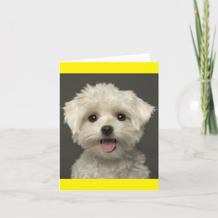 Witte Maltese Puppy Dog Blank Note Kaart