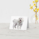 Witte Maltese Puppy Dog Blank Notecard / Kaart (Gele Bloem)