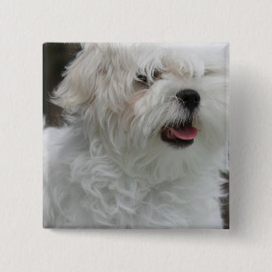 Witte Maltese puppy Square Pin Vierkante Button 5,1 Cm