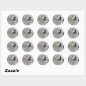 Witte Maltese Puppy Sticker (Vel)