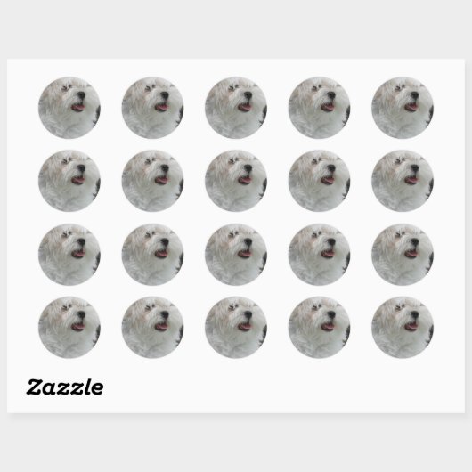 Witte Maltese Puppy Sticker (Vel)