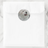 Witte Maltese Puppy Sticker (Tas)