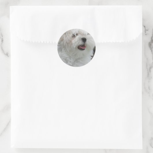 Witte Maltese Puppy Sticker (Tas)