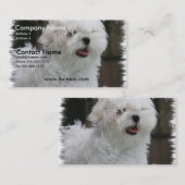Witte Maltese Visitekaartje van Puppy Dog (Voorkant / Achterkant)
