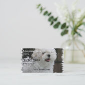 Witte Maltese Visitekaartje van Puppy Dog (Staand voorkant)