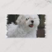 Witte Maltese Visitekaartje van Puppy Dog (Achterkant)