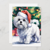 Witte Maltezer hond met kerstmuts Feestdagenkaart (Voorkant / Achterkant)