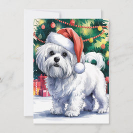 Witte Maltezer hond met kerstmuts Feestdagenkaart