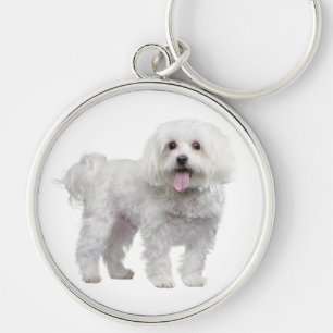 Witte Maltezer Puppie Hond Custom Sleutelhanger