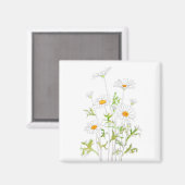witte Margaret daisy inkt en waterverf Magneet (Voorkant / Achterkant)