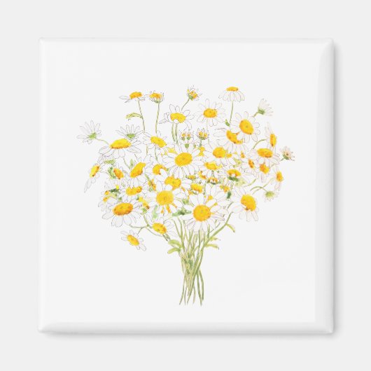 witte Margaret daisy waterverf en inktbouquet Magneet (Voorkant)